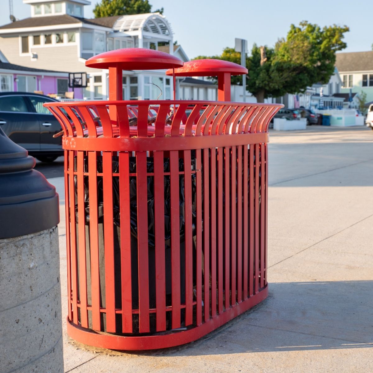 Carnival Dual Receptacle