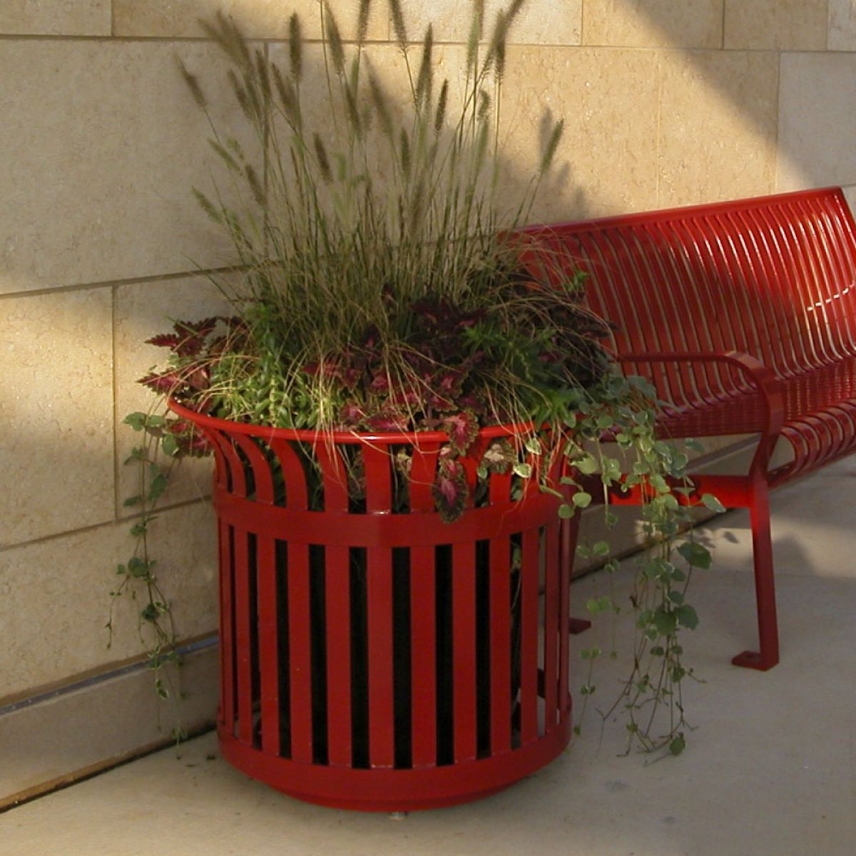 Carnival Planter AFCH