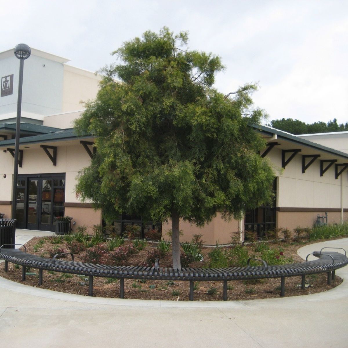 Carnival Curved Bench