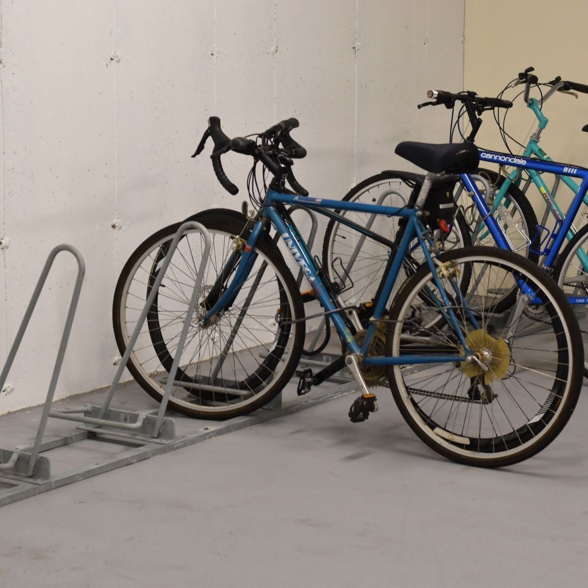 Shark™ Rack