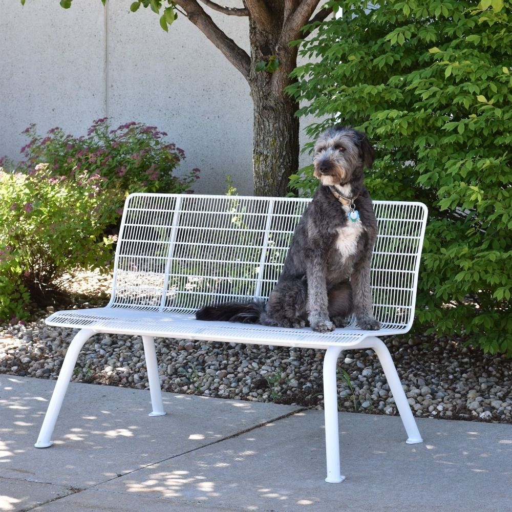 Mifflin Bench