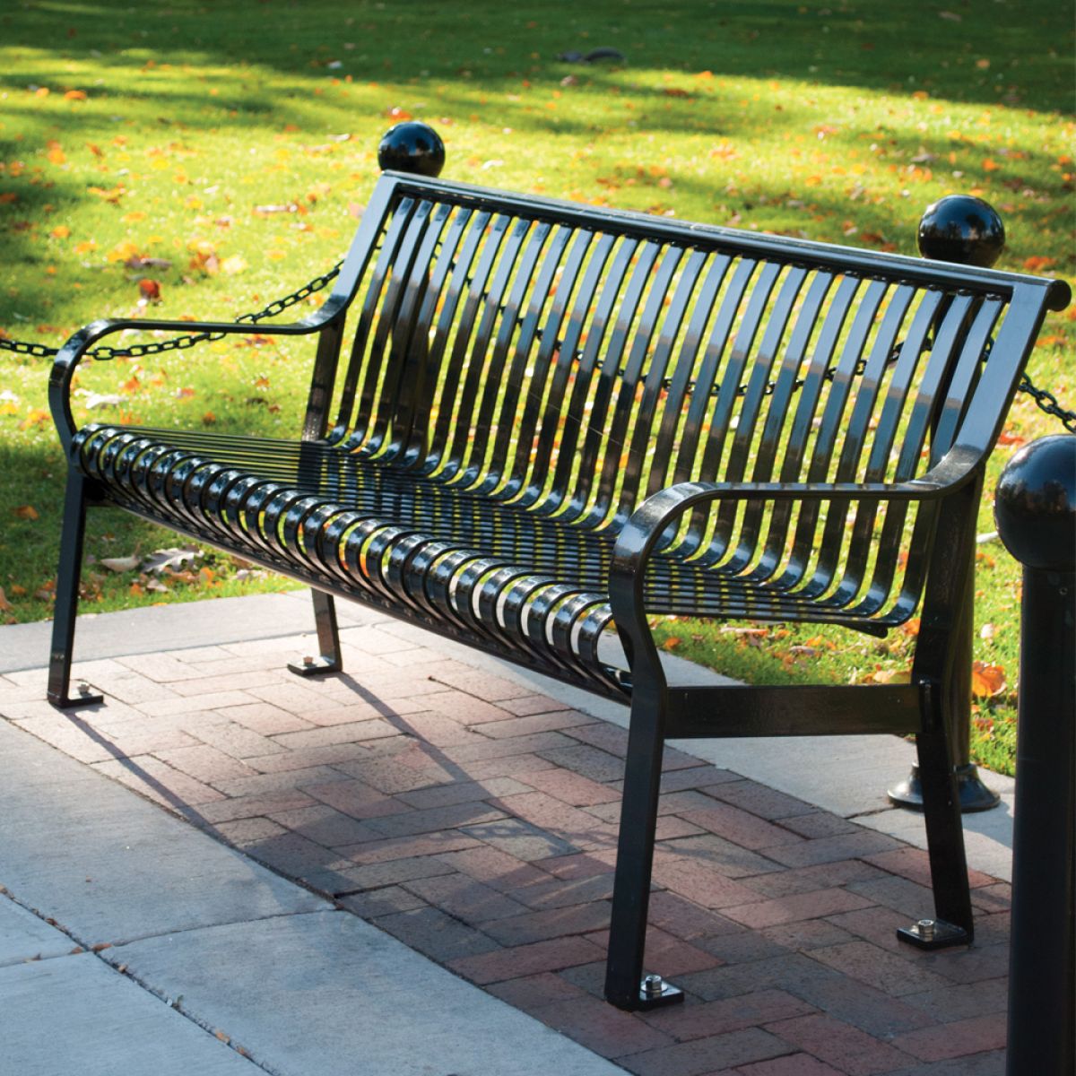 Carnival Bench