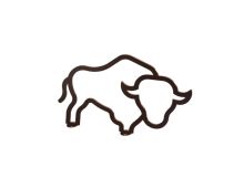 THR-BISON-SF-P