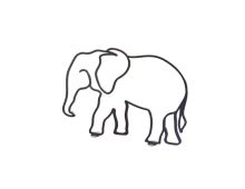 THR-ELEPHANT-SF-P